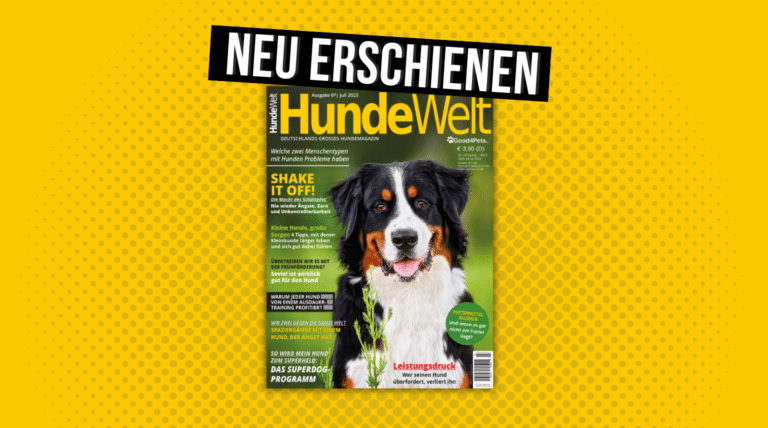 HundeWelt 07.2023