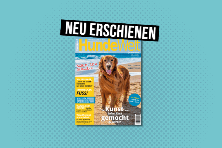 HundeWelt 08.2023