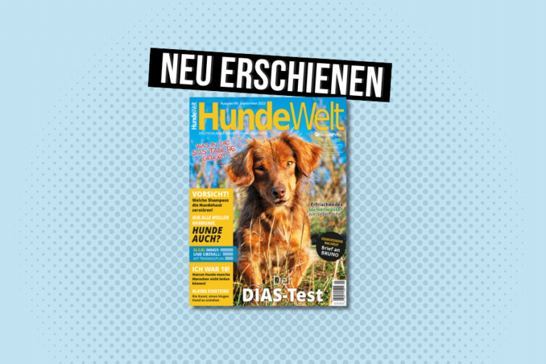 HundeWelt 09.2023