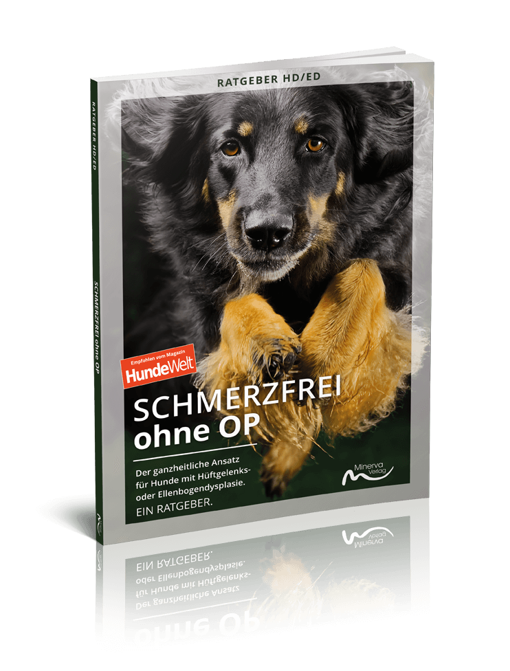 Buch Schmerzfrei ohne OP