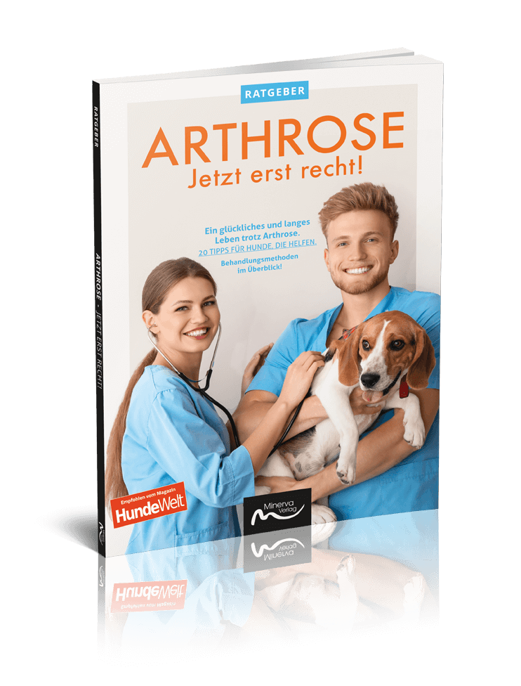 Buch Arthrose - Jetzt erst recht!