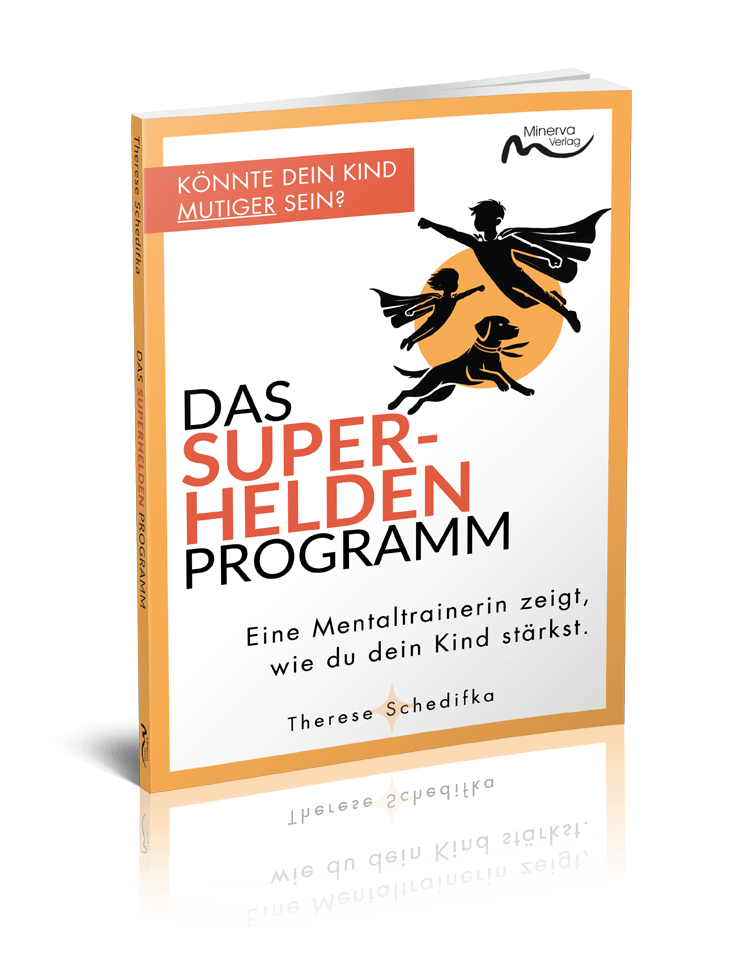 Buch Das Superhelden-Programm