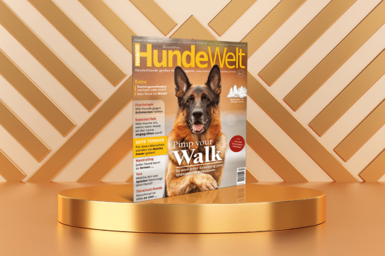 HundeWelt 12.2024