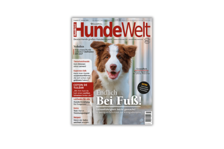 HundeWelt 01.2025