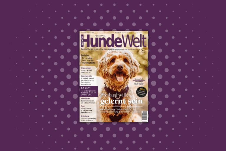 HundeWelt 02.2025