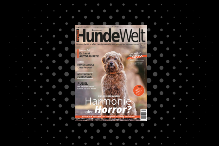 HundeWelt 05.2025