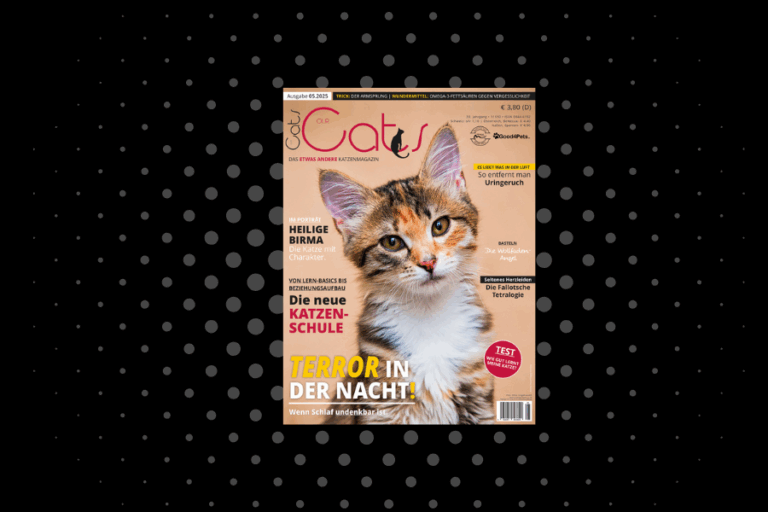 Our Cats 05.2025