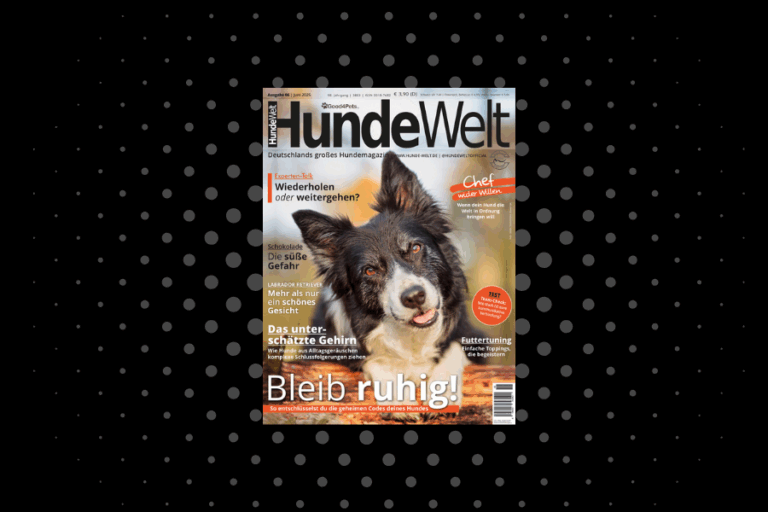 HundeWelt 06.2025