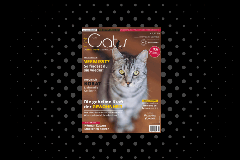 Our Cats 06.2025