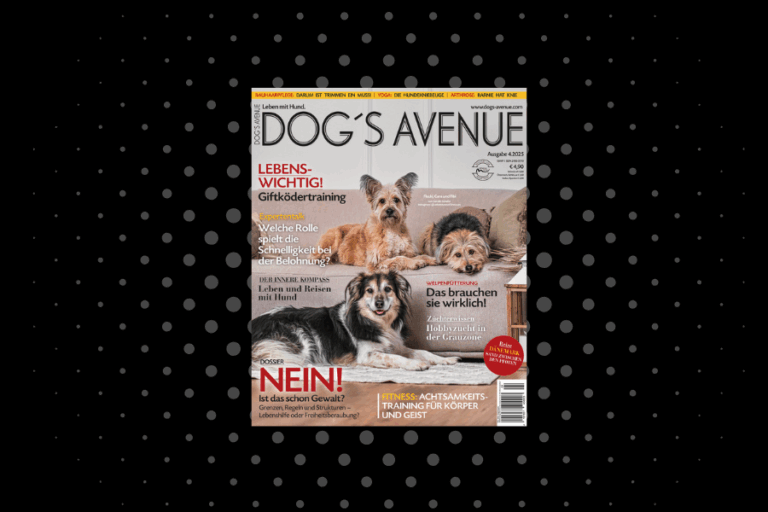 Dog´s Avenue 4.2025