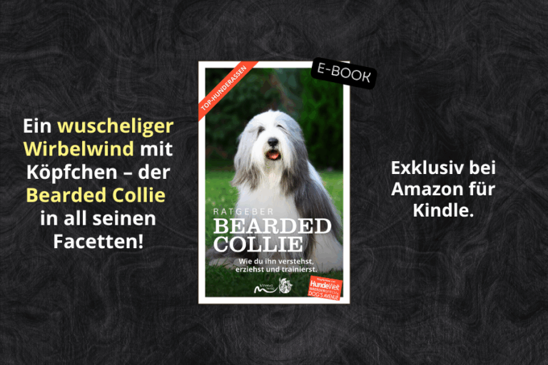 Neu: Bearded Collie Ratgeber als E-Book für Kindle bei Amazon