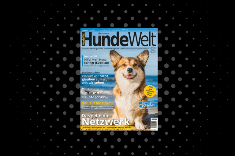 HundeWelt 07.2025