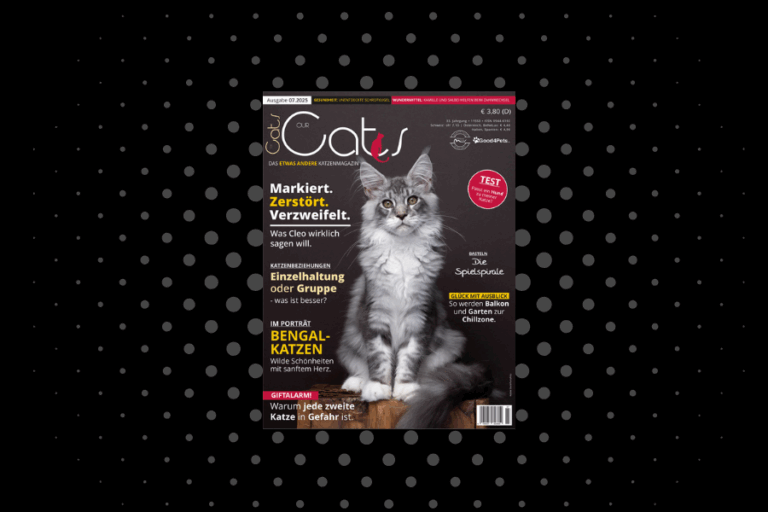 Our Cats 07.2025