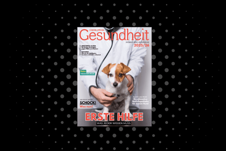Ratgeber Gesundheit 2025/26: Gratis – E-Book