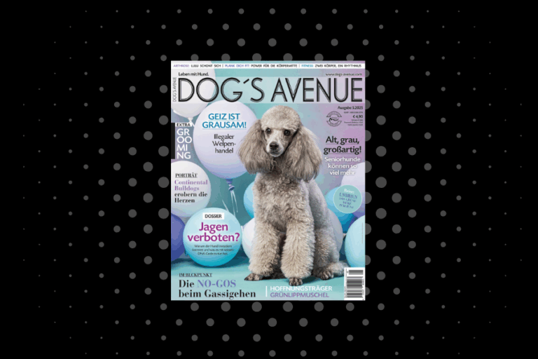 Dog´s Avenue 5.2025