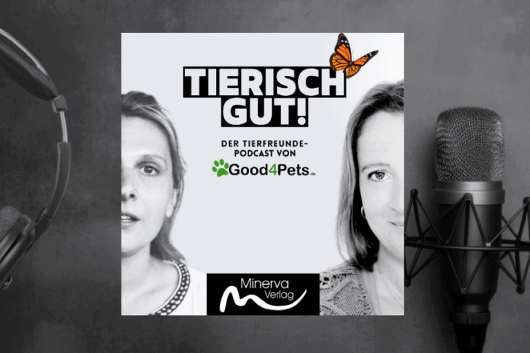 NEUE PODCAST-FOLGE: „Wenn Stille heilt – und Biologie die Sprache deines Pferdes spricht“