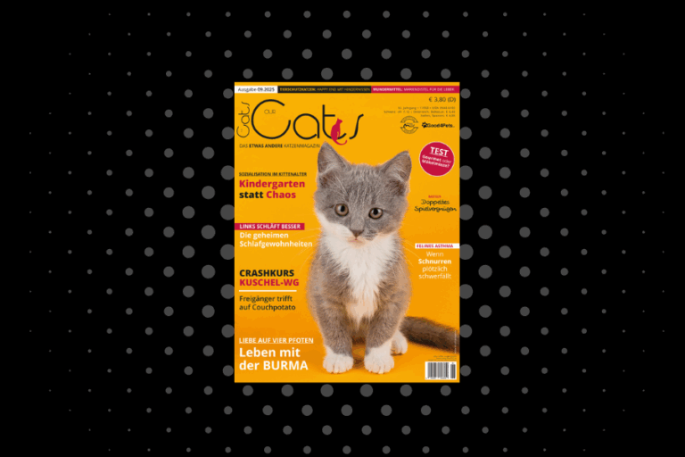 Our Cats 09.2025