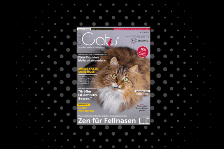 Our Cats 10.2025