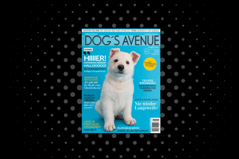Dog´s Avenue 6.2025