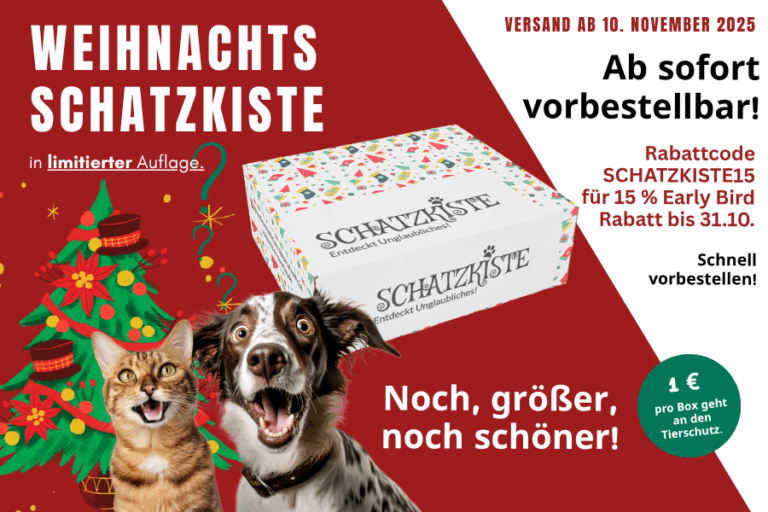Die Schatzkisten 2025 sind vorbestellbar.