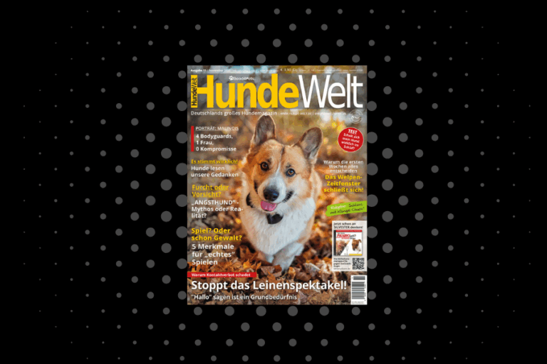 HundeWelt 11.2025