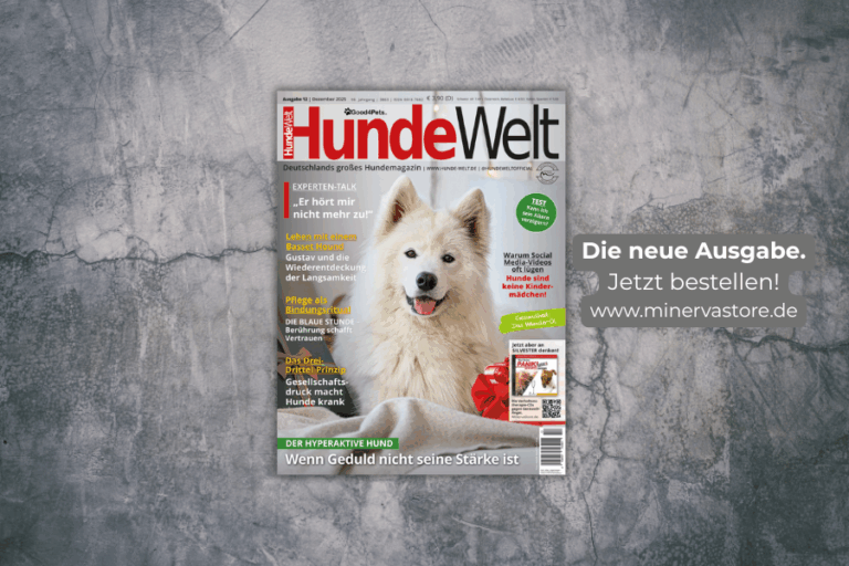 HundeWelt 12.2025