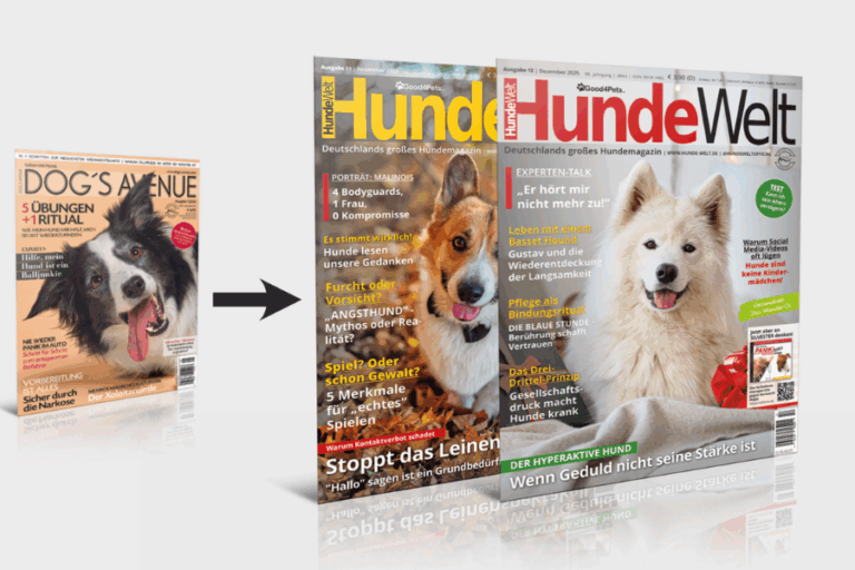 Dog’s Avenue bereichert zukünftig Deutschlands führendes Hundemagazin