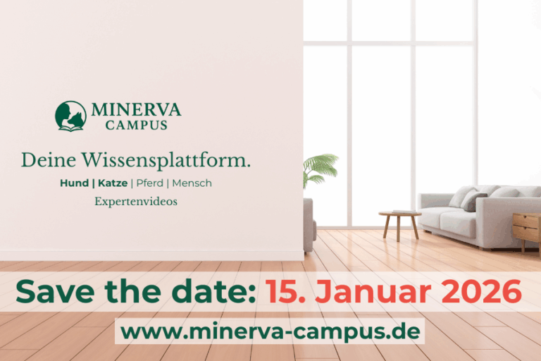 Wir bereiten den Launch des MINERVA CAMPUS vor!