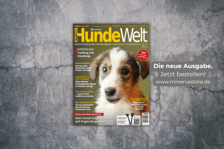 HundeWelt 1.2026