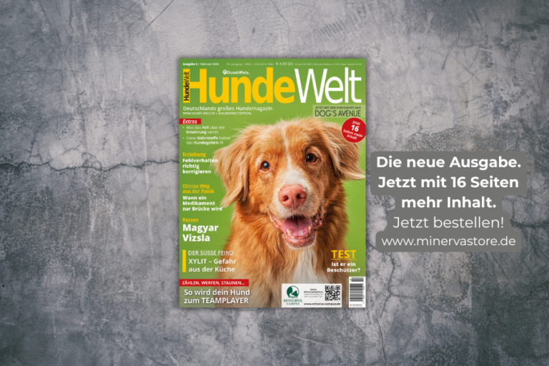 HundeWelt 2.2026