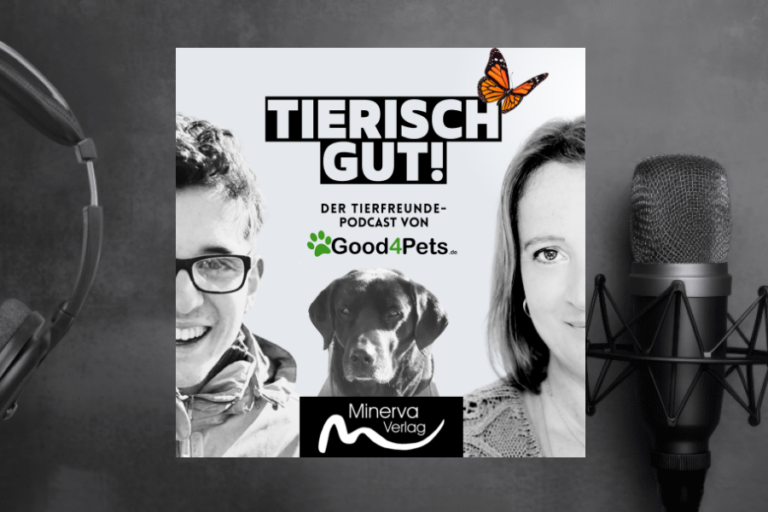 Wie ein Brief an VITA Assistenzhunde Pauls Leben veränderte – Neue Folge „Tierisch Gut!“