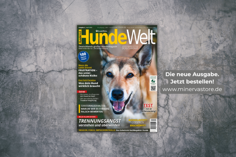 HundeWelt 4.2026