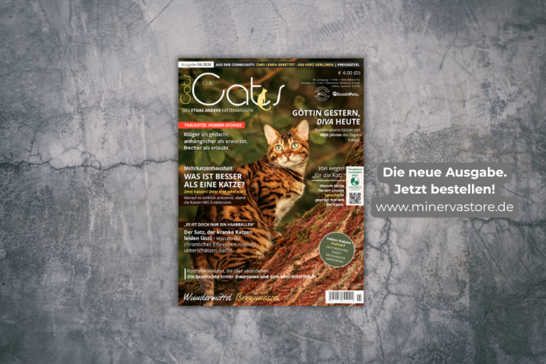 OUR CATS Ausgabe 06 / 2026 jetzt im Handel und im MinervaStore