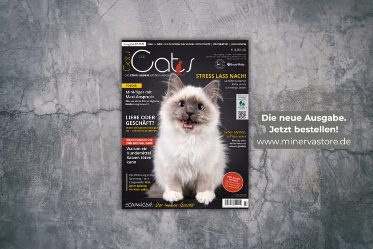 OUR CATS Ausgabe 07 / 2026 jetzt im Handel und im MinervaStore