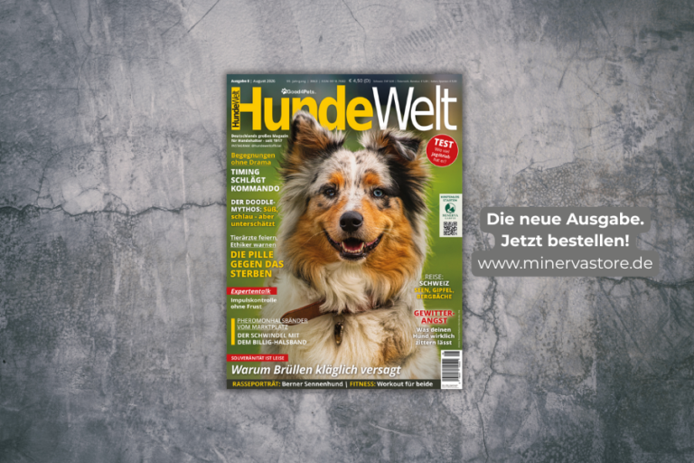 HundeWelt Ausgabe 8 / August 2026 jetzt im Handel