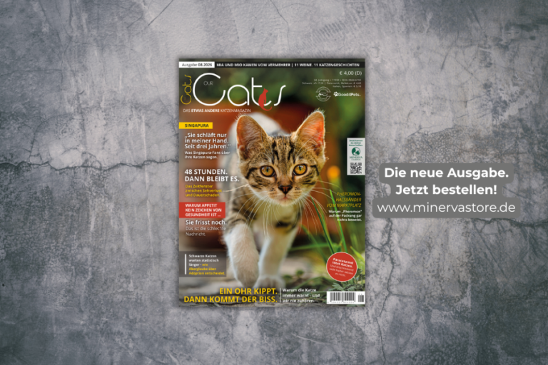 OUR CATS Ausgabe 08 / 2026 jetzt im Handel und im MinervaStore