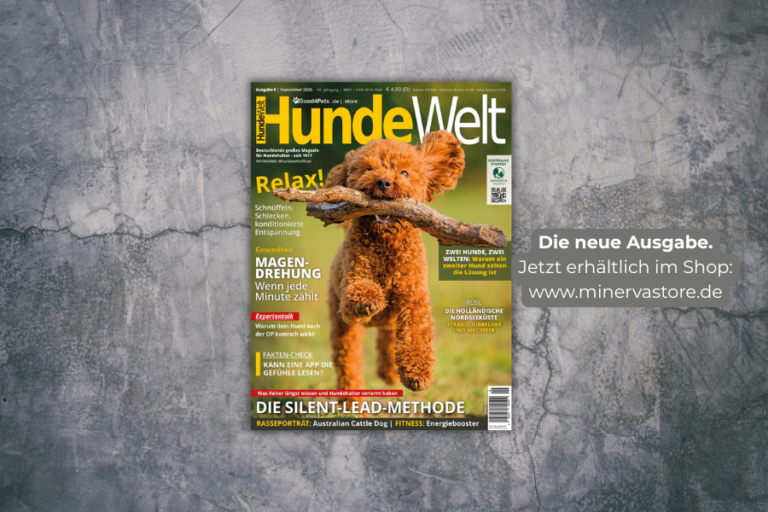 HundeWelt Ausgabe 9 / September 2026 jetzt im Handel und im MinervaStore