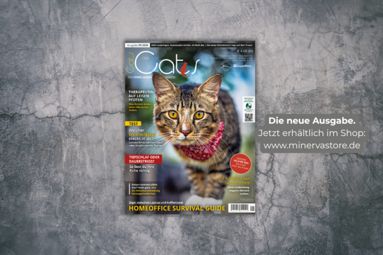 OUR CATS Ausgabe 9 / September 2026 jetzt im Handel und im MinervaStore