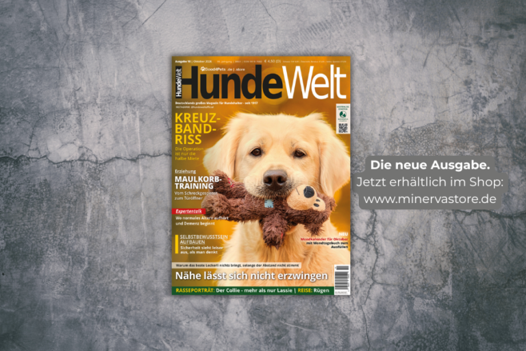 HundeWelt Ausgabe 10 / Oktober 2026 jetzt im Handel und im MinervaStore