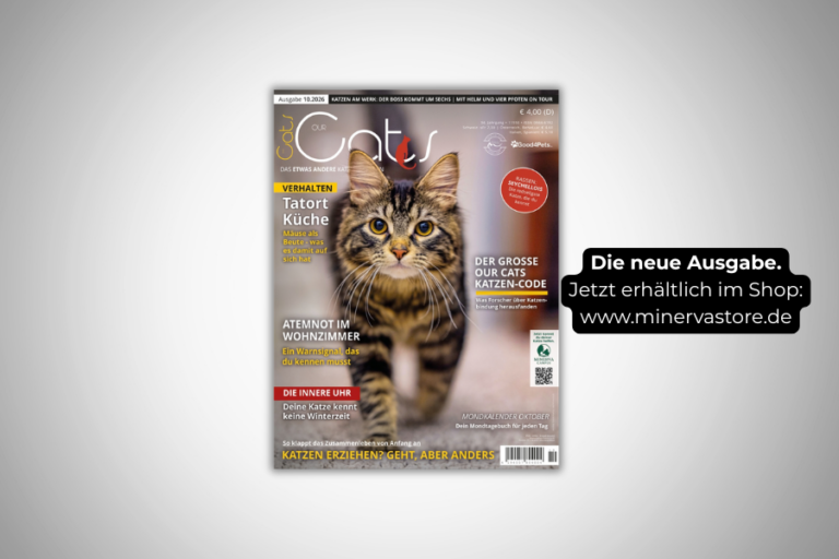 OUR CATS Ausgabe 10 / Oktober 2026 jetzt im Handel und im MinervaStore