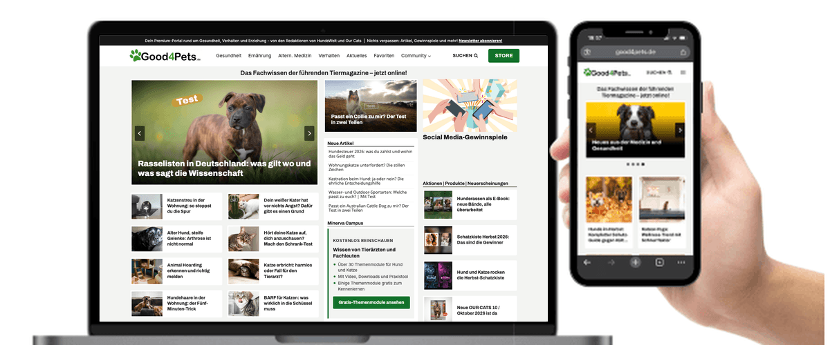 Startseite von good4pets.de auf Laptop und Smartphone