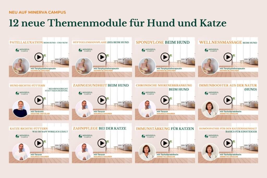 Collage der Titelbilder der zwölf neuen Themenmodule auf MINERVA Campus