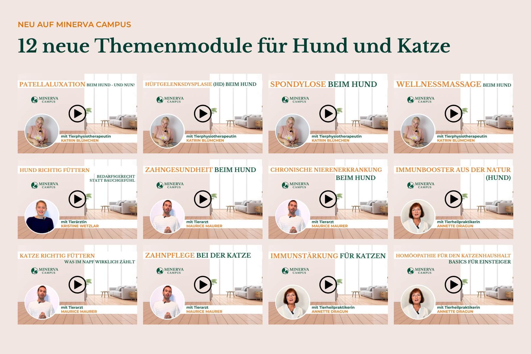 Collage der Titelbilder der zwölf neuen Themenmodule auf MINERVA Campus